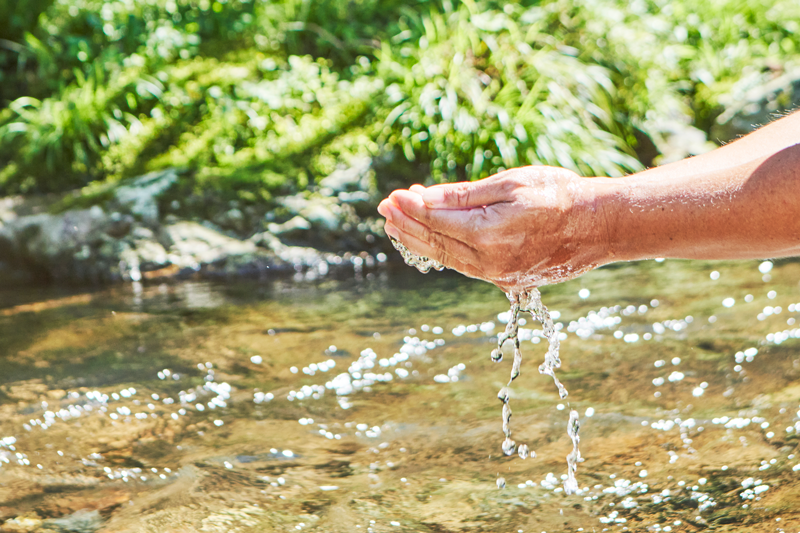 仕込みの水源となる川